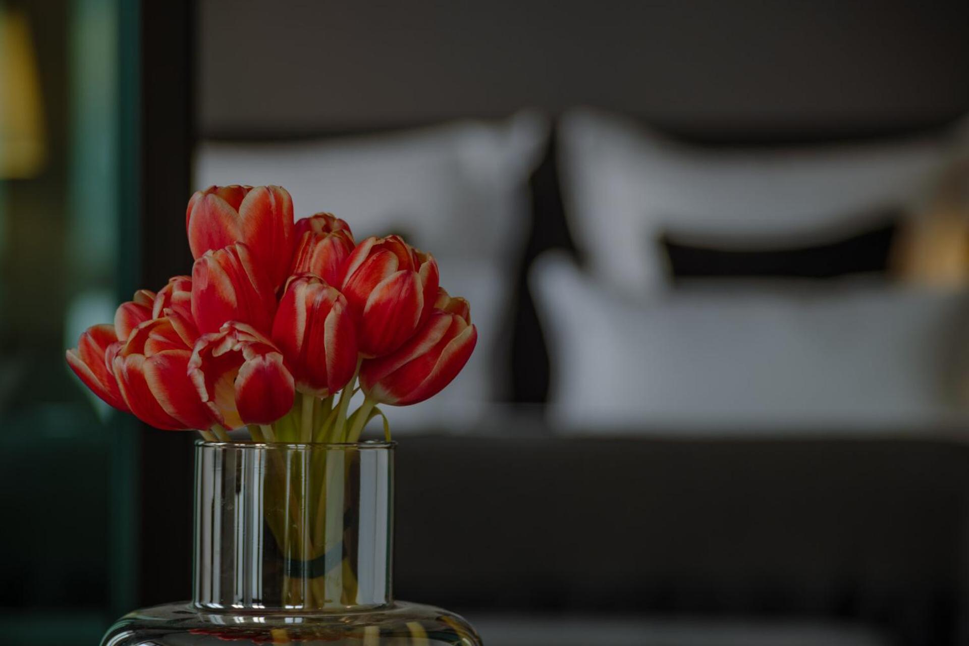 A-Rosa Collection Hotel Ceres Am Meer - Adults Only Binz Ngoại thất bức ảnh